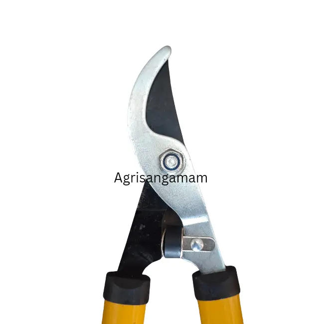Plant cutter