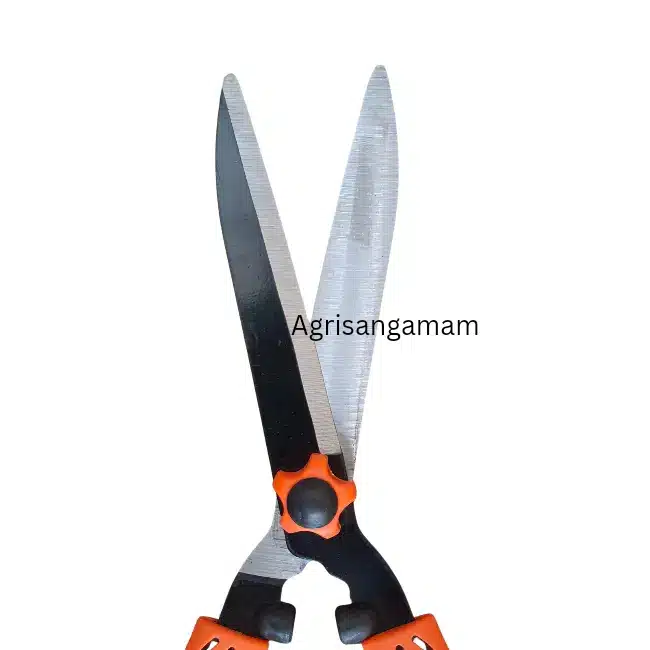 Plant cutter