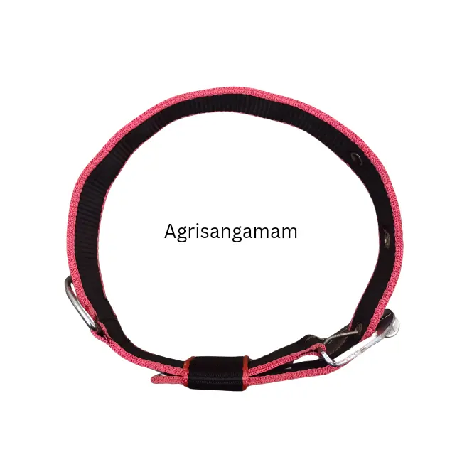 Dog belts