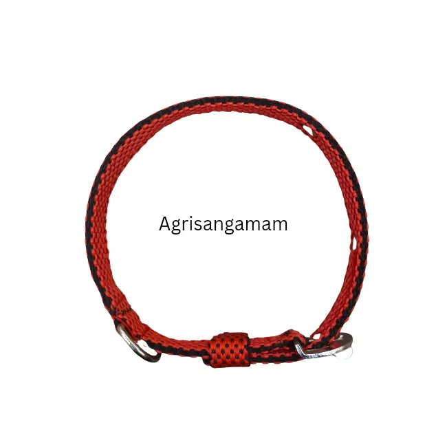 Dog belts